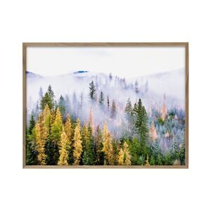 Forest Fog Print 